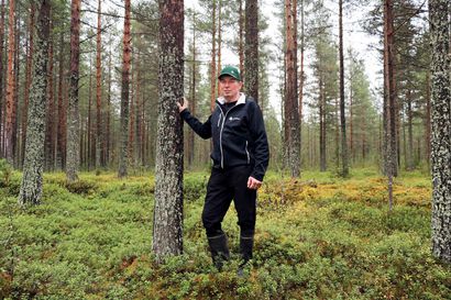 Metsärintamalla fuusiovaalit – Metsänhoitoyhdistys Lappiin valitaan 10 valtuutettua Länsi-Pohjasta ja neljä Ylitorniolta
