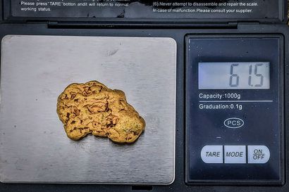 Ivalojoen sivujoki Sotajoelta löytyi 61,5 gramman kultahippu – hippu on ensimmäinen kokoluokkansa löytö sen jälkeen, kun lakimuutokset lopettivat konekaivun Lemmenjoella
