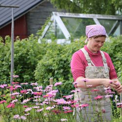 Vanhalla sukutilalla Ylikiimingissä riittää lääniä puutarhaharrastukseen – emäntä poistuu harvoin kotoa, koska kukat ja kasvit vaativat kastelua lähes päivittäin