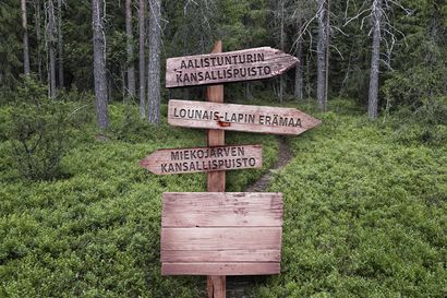 Tornionlaaksoon ehdotetaan peräti kolmea uutta kansallispuistoa – Kävimme läpi nämä tuntemattomat retkeilyhelmet ja niiden mahdollisuudet saada himottu titteli