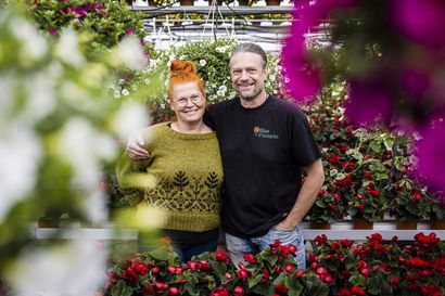 Kukkia tuntitolkulla – Ollilan puutarhan asiakkaat viihtyvät kasvien ja eläinten keskellä pitkään