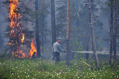Pudasjärven Olvassuolla poltetaan tiistaina hehtaareittain metsää – Metsähallituksen ennallistamispolton aikana syntyy runsaasti savua