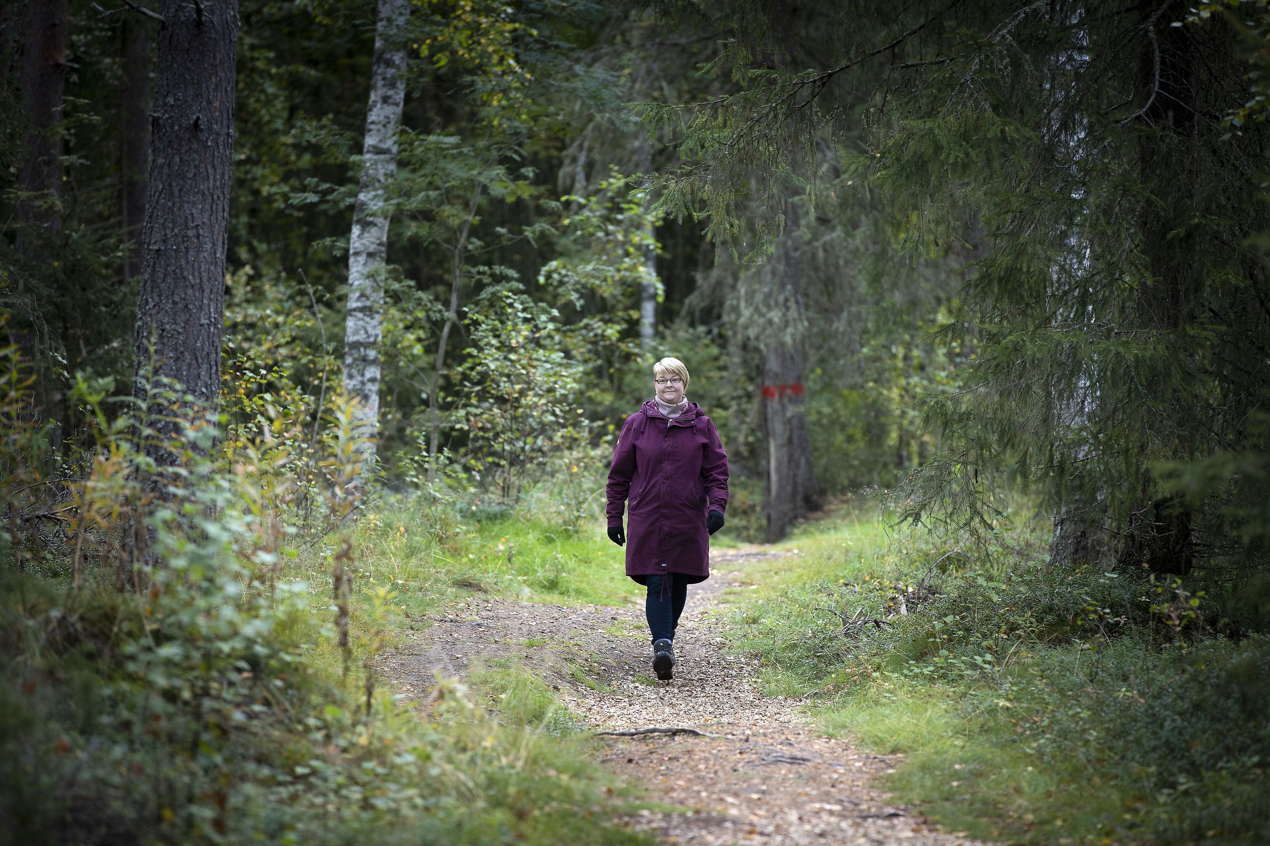 Pohjois-Pohjanmaalla talkoillaan miljoonien eurojen arvosta, mutta nyt  maaseutua uhkaa pula vapaaehtoisista – piskuinen tyrnäväläispitäjä nousi  palkituksi kyläksi talkoovoimin | Rantalakeus