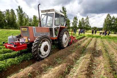 Mainio uutinen Suomen pelloilta – hyvät satonäkymät lisäävät huoltovarmuutta