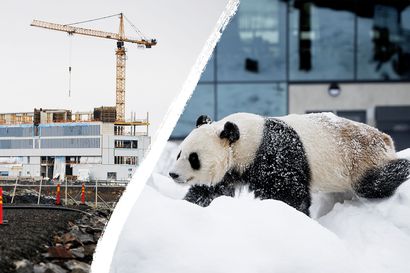 Ei tullut pandoja eikä ydinvoimalaa – Ranualla takavuosien pettymys kääntyi kiitokseksi, Simossa odotellaan uutta jättipottia
