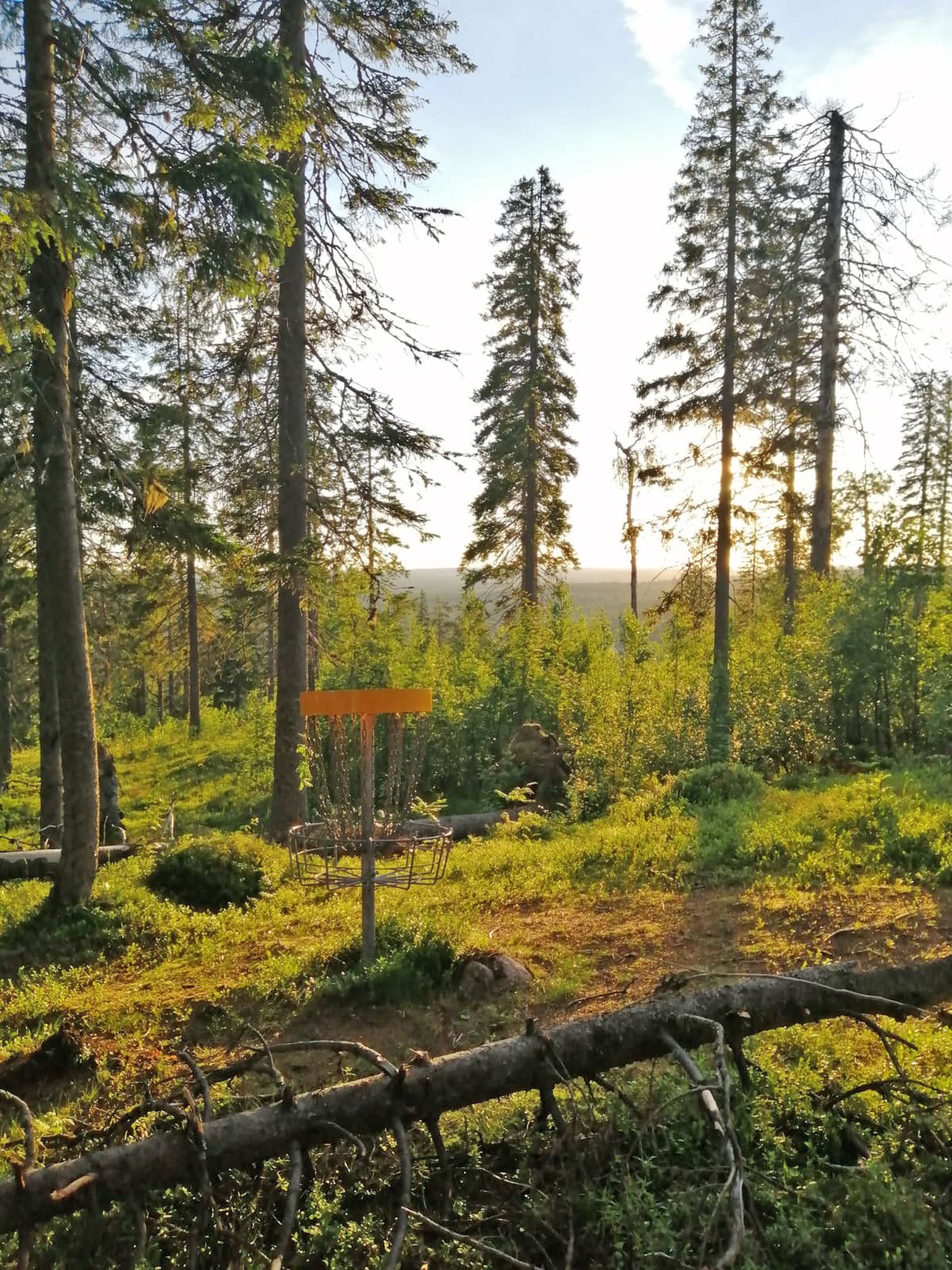 Frisbeegolf kasvussa etenkin nuorten keskuudessa – Tiedätkö kuinka paljon  yksi kiekko painaa? | Rantalakeus