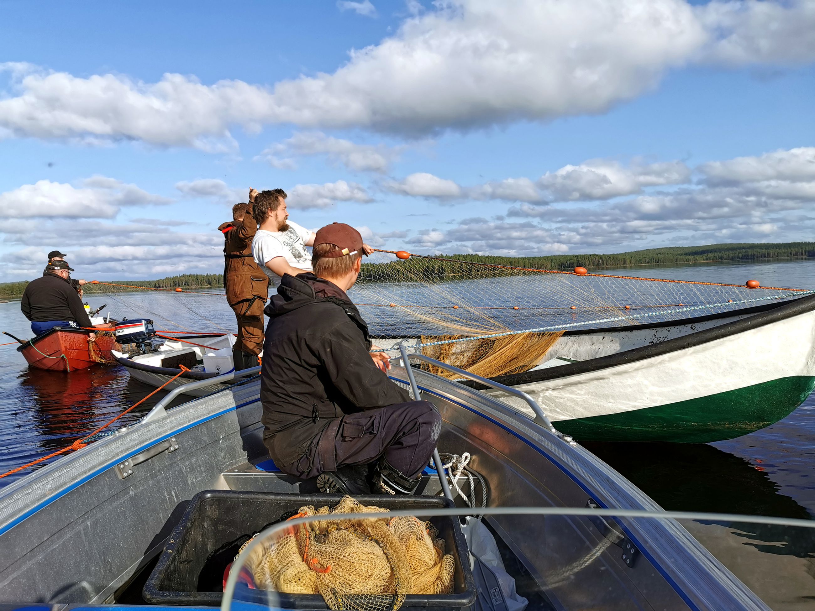 Muikut ja Muikkufestarit palaavat Vanttausjärvelle – Kylän nuorempi väkikin  innostui sijoittamaan yhteiseen nuottaan | Lapin Kansa