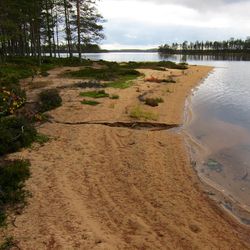 Kansallispuiston verran uutta kansallispuistoa: Esittelemme Tiilikkajärven uuden osan, jota halkoo hylätty retkeilyreitti
