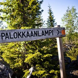 Ympäristöministeriössä ei ole vielä tartuttu viime vuonna jätettyihin Tornionjokilaakson kansallispuistoaloitteisiin – Sallan hakemus oli jonossa noin vuoden
