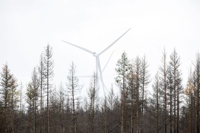 Yli-Iin alueelle Ouluun suunnitteilla taas lisää tuulivoimaa – Latvaselälle kaavaillaan enintään 11 voimalan tuulipuistoa