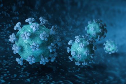 Koronavirusepidemia jatkaa hidastumistaan Suomessa – turvavälit ja hygienia muistettava edelleen