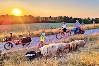 Härkösen perhe on pyöräillyt tänä kesänä Saksassa ja Virossa – Näillä ohjeilla selviät lasten kanssa pitkistäkin pyörämatkoista