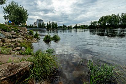 Rajut sateet ovat saaneet veden virtaamaan voimakkaasti Oulujoessa, ja lisää on tulossa – "Täytyy ajaa reilusti vettä pois järvestä"