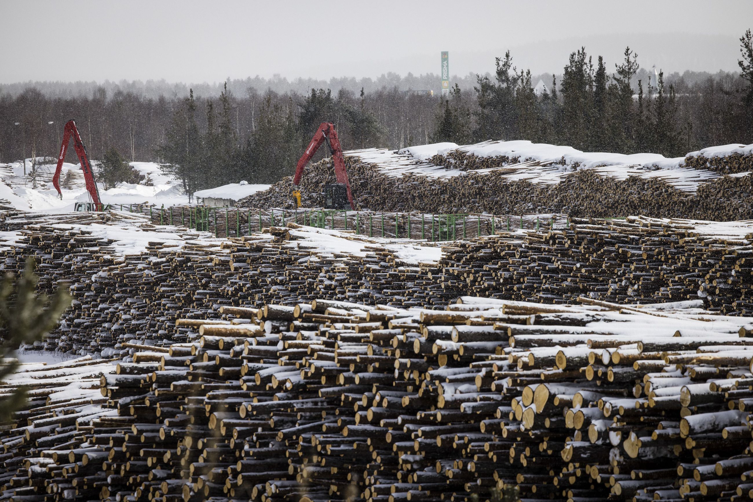Syke: Suomella suuria vaikeuksia saavuttaa EU:n ilmastovelvoitteet – metsät  voivat muuttua päästölähteeksi vuonna 2025 | Lapin Kansa