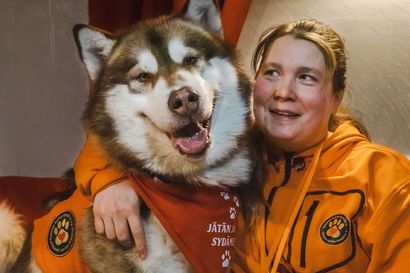 Karva-Kavereiden vapaaehtoiset ilahduttavat eläimellisillä vierailuillaan kehitysvammaisia, vanhuksia, lapsia ja nuoria – Suomen ensimmäisellä eläinavusteisella yhdistyksellä on Lapissa noin sata jäsentä