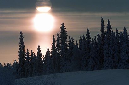 Tähdenlentoparvi, helmiäispilviä, keinovalopilareita – Pohjois-Suomen yötaivaalla voi nähdä monenlaisia luonnonilmiöitä vuodenvaihteen tienoilla