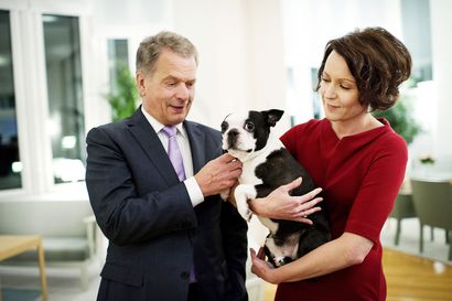 Presidenttipari hankki uuden koiran – Jenni Haukio esittelee Oskun tviitissään