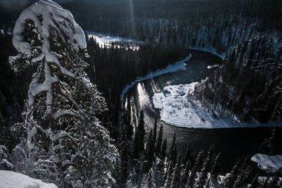 Kolumni: Oulanka-Paanajärvi maailmanperintökohteeksi