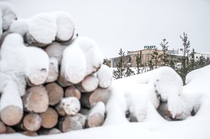 Raakapuun liikkumiseen uudet pakotteet eivät varmaankaan vaikuta, uskotaan Pölkyllä – Venäjän-kaupan määrä tällä hetkellä voi yllättää