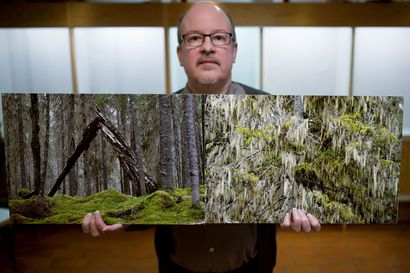 Vanhat naavametsät kuvittavat kirjastoa lokakuun ajan – Timo Kovanen etsii kuviinsa koskematonta luontoa.