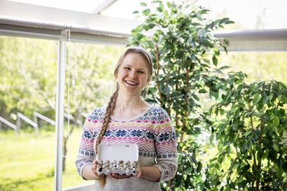 Oululainen perheenäiti Netta Temmes tilasi netistä munia, kyhäsi hauduttamon kylmälaukusta ja nyt omakotialueella kujertaa lähes 60 viiriäistä – katso video