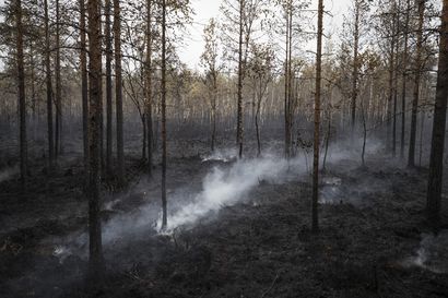 Metsäpalovaroitus on voimassa koko maassa – avotulen teko on kiellettyä eikä kertakäyttögrillejä saa käyttää