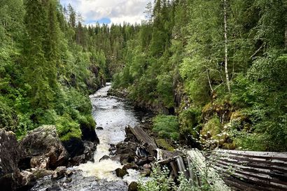 Retkellä: Jylhiä maisemia ja uittokulttuurin historiaa – Auttikönkään luontopolku kuljettaa vesiputoukselta latvojen ylle