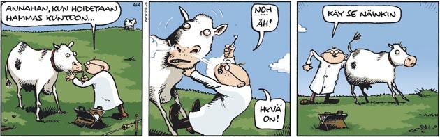 Fingerpori  | Kaleva