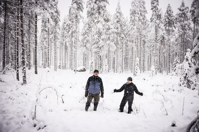 Seitsemää metsää tutkitaan 100 vuoden ajan– Metsähallitus perusti Rovaniemelle demometsiä, joilla jatkuvaa kasvatusta verrataan muihin hakkuumenetelmiin