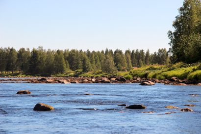 Kaipaako lähijärvi tai -joki kunnostusta? – Rahoitushaku käynnistyy syksyllä