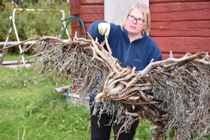 Kotka laskeutui Kuusamotalolle – "Haluamme kotkan valmistamisella kunnioittaa edesmenneen Hannu Hautalan työtä ja uraa"