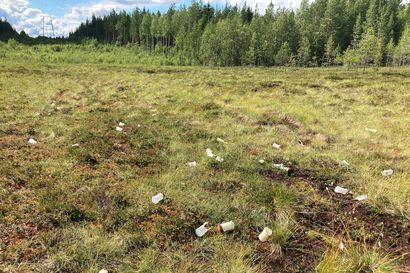 Rovaniemen Tavivaaran hautausmaan läheinen suo on täynnä hautakynttilöitä – tekijäksi paljastui hautausmaalla ennenkin häiriötä aiheuttanut taho