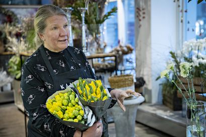 Oululaisessa kukkakaupassa tulppaani on tämä ajan suosikki, muttei ainoa – joskus asiakkaiden toiveet yllättävät kokeneenkin kauppiaan