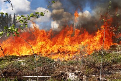 Sodankylässä sammutetaan kulotuksesta karannutta maastopaloa– "Nyt tikut pois, ruohikkopalovaroitus voimassa koko Lapissa"