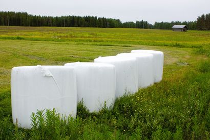 Pudasjärven ja Ranuan alueille suunnitteilla biokaasulaitoksia – ainoa vaihtoehto on yhteinen projekti muiden maatilojen kanssa: Pärjänsuo mahdollinen sijainti