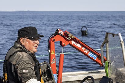 Kalastaja Kari Heinikoski tilasi neljä mölytoosaa 64 000 eurolla – Uudet hyljekarkoittimet ovat Perämeren ammattikalastajien "viimeisiä konsteja"