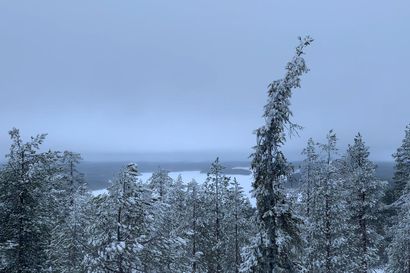 Tutustuimme Kuusamon uusimpaan päiväretkikohteeseen – Vanttajavaaran näkötornista avautuva järvimaisema on niin upea, että sen vuoksi kannattaa hiihtää viimeinen kilometri ylämäkeä