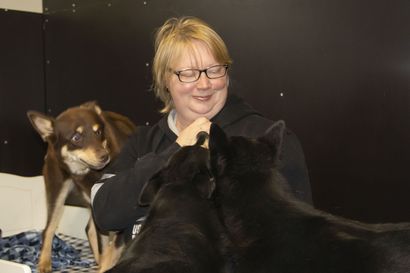 Unelma toteutui – Mari Jesiöjärvi perusti koirahoitola Lumettan Lumijoelle: "Miksen tehnyt tätä aiemmin?"