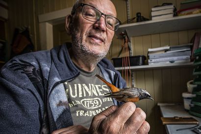 Biologi Matti Tynjälä elää aivan omassa rytmissään Tauvon lintuasemalla – "Paikan sijainti on erinomainen"