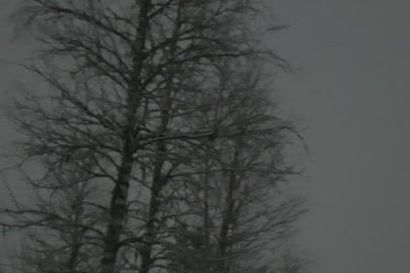 Puolustusvoimien helikopterit lentävät Kuusamossa Rukan eteläpuolella – kyseessä Utin jääkärirykmentin harjoitukset