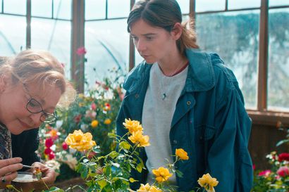 Arvio: Lämminhenkinen elokuva ruusulajikkeita risteyttävästä naisesta nappaa katsojan mukaansa