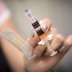 Valtaosa yläkoulun aloittaneista on saanut HPV-rokotteen – Pohjois-Pohjanmaalla rokotekattavuus muuta maata pienempi