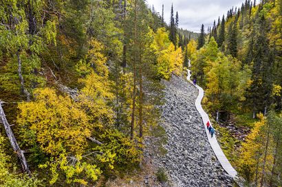 Rakennusmateriaalien kuljetus Pyhä-Luoston kansallispuiston Isokuruun käynnistyy – Suositun reitin rakenteet uusitaan kesän ja syksyn aikana