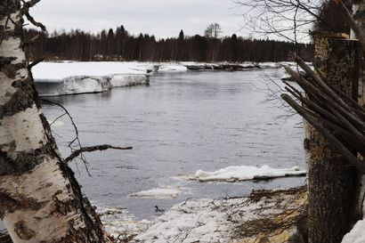Tulvakausi alkamassa Iijoen vesistössä – Jongunjärven ja Pudasjärven keskustan välinen jokiosuus vapautumassa jäistä