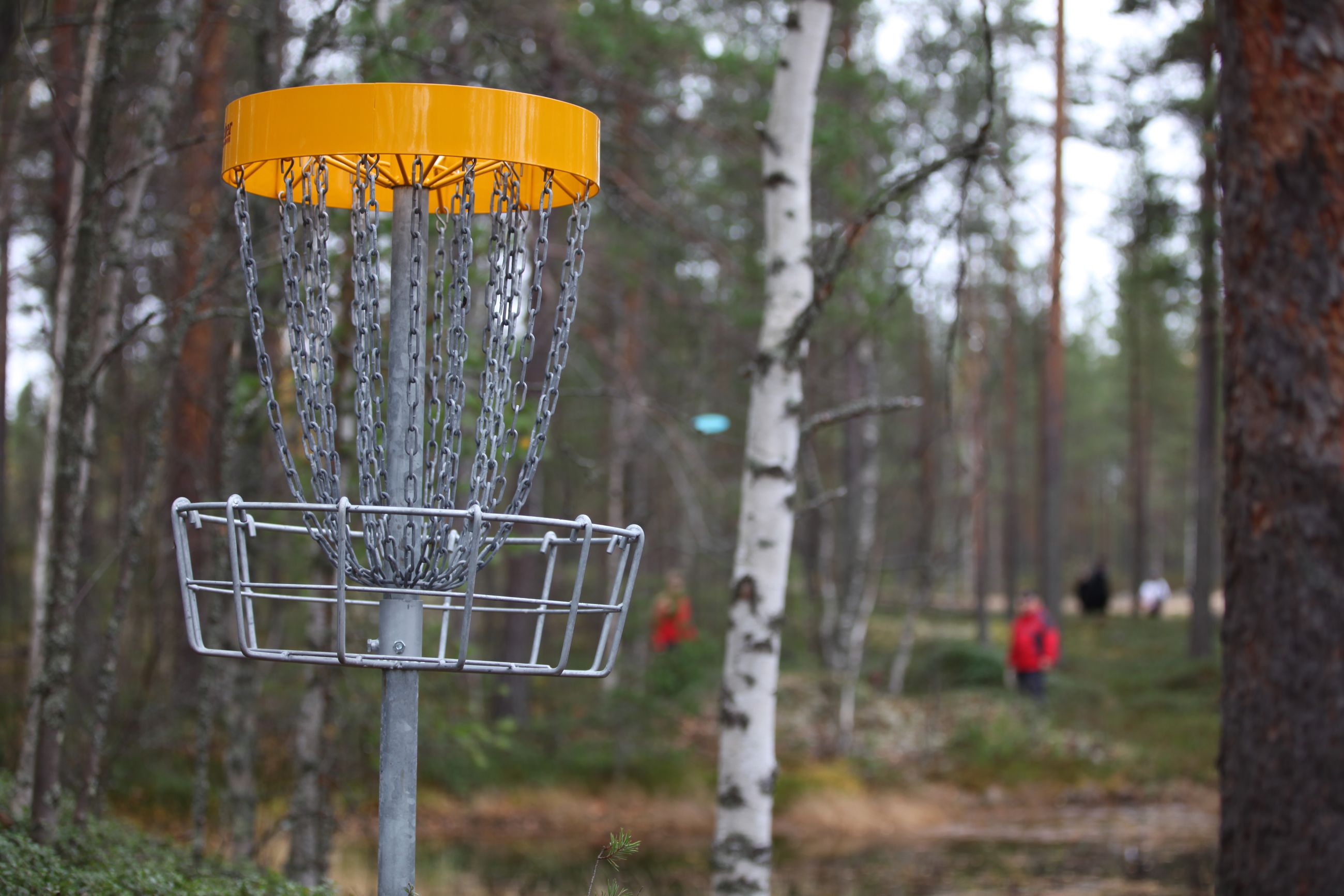 oulua-kehutaan-euroopan-frisbeegolfin-p-kaupungiksi-kaleva