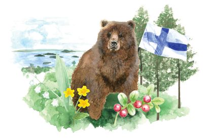 Elokuussa liputetaan neljättä kertaa Suomen luonnolle – siniristilippumerkin voi saada almanakkaan pysyvästi vain sinnikkäästi vuosittain liputtamalla