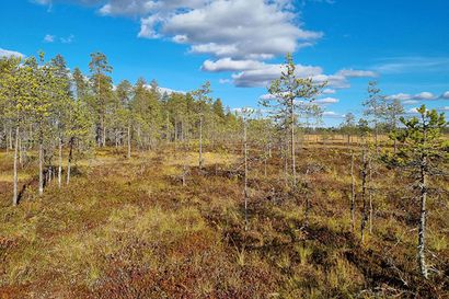 Helmi-ohjelma | Iijokiseutu