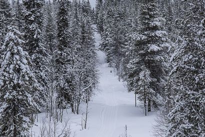NUTS polkujuoksutapahtumalle talvinen pikkusisar – NUTS Ski Ruka tarjoaa murtomaahiihtoa ja karnevaalitunnelmaa maaliskuussa: ilmoittautuminen alkaa tänään