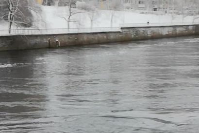 Pulska hylje uiskenteli Merikoskessa lauantai-iltapäivällä.