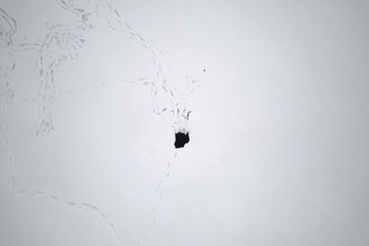 Hyytävä kuva heikoilla jäillä seikkailleesta – Lapin poliisilaitos tutki avantoon tippuneen jälkiä dronella